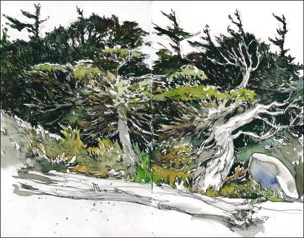 12Aug_Newfoundland (3)