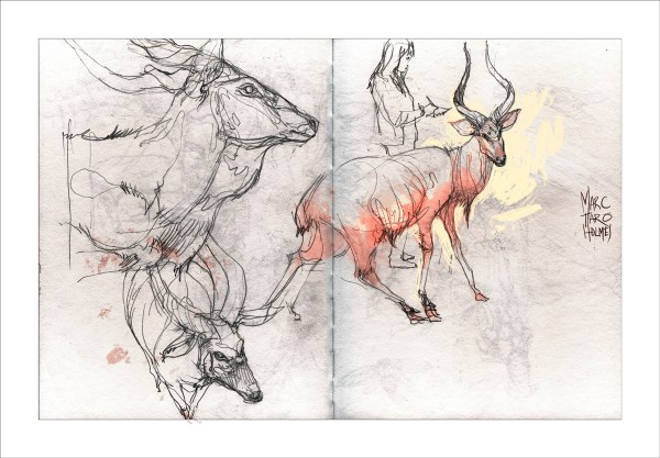 12Nov25_RedpathSketchcraw_01