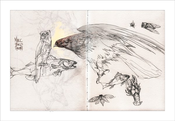 12Nov25_RedpathSketchcraw_02