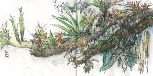 14Apr20_Botanical Garden_01