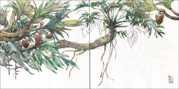 14Apr20_Botanical Garden_02