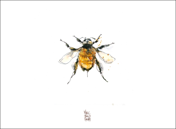 14June16_Insectarium Bees 02