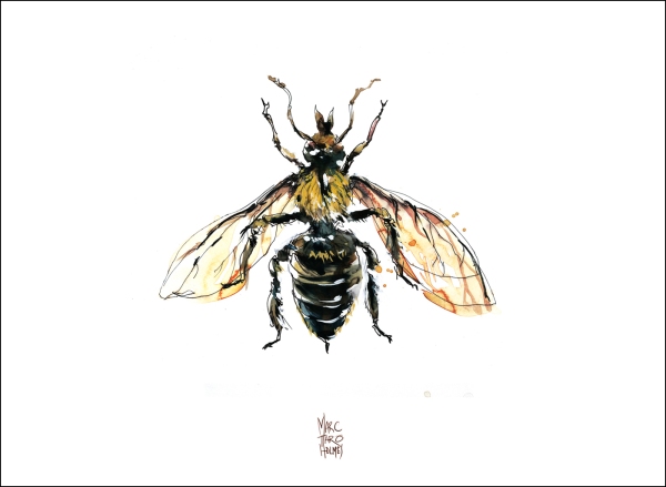 14June16_Insectarium Bees 03