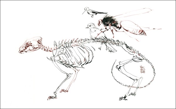 15Feb22_USK_Biodome_Ink_03