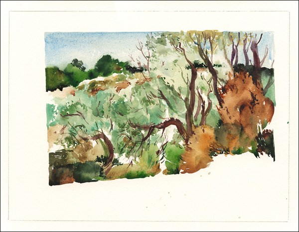 MHolmes_Tuscany (12)