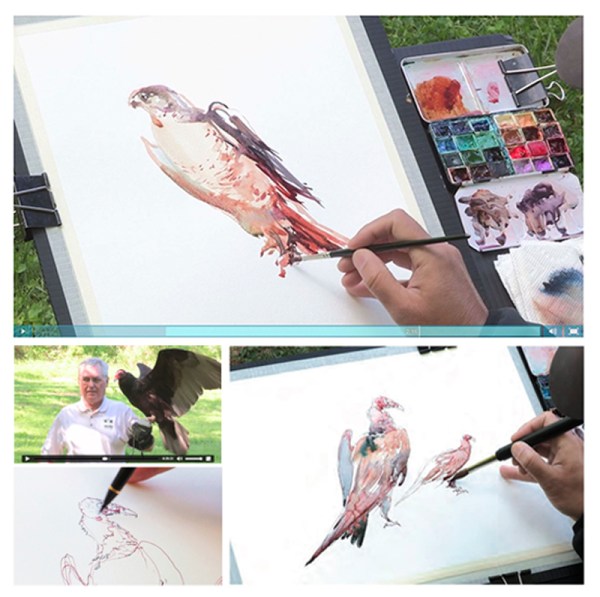 15Oct17_Artnet_TV_Birds_01