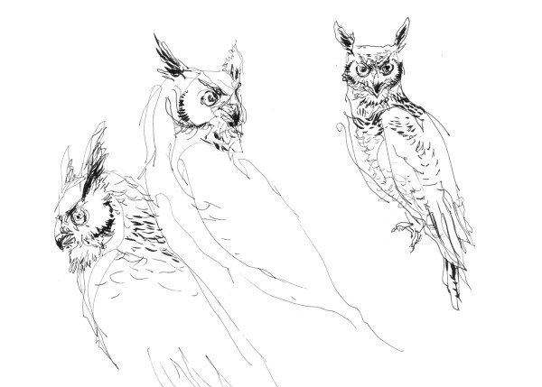 15Oct20_ArtNetBirds02