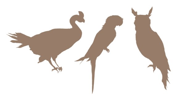 15Oct20_ArtNetBirds03