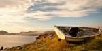 Nfld_rowboat_web
