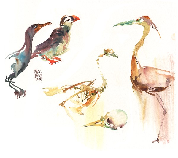 15Nov23_Redpath_Water Silhouettes_01