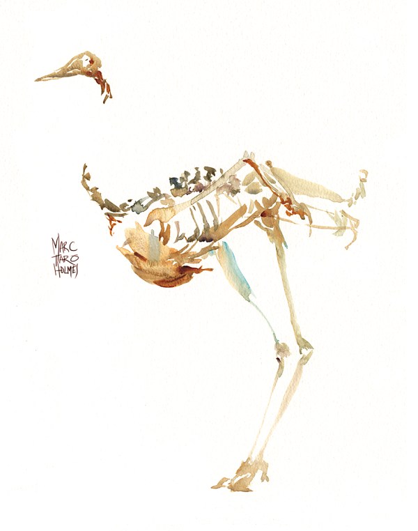 15Nov23_Redpath_Water Silhouettes_02