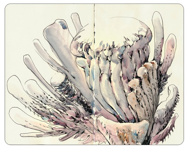 15Nov10_Imagination_Book_09