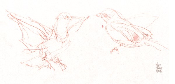 16Jan10_Dilute Ink (1)