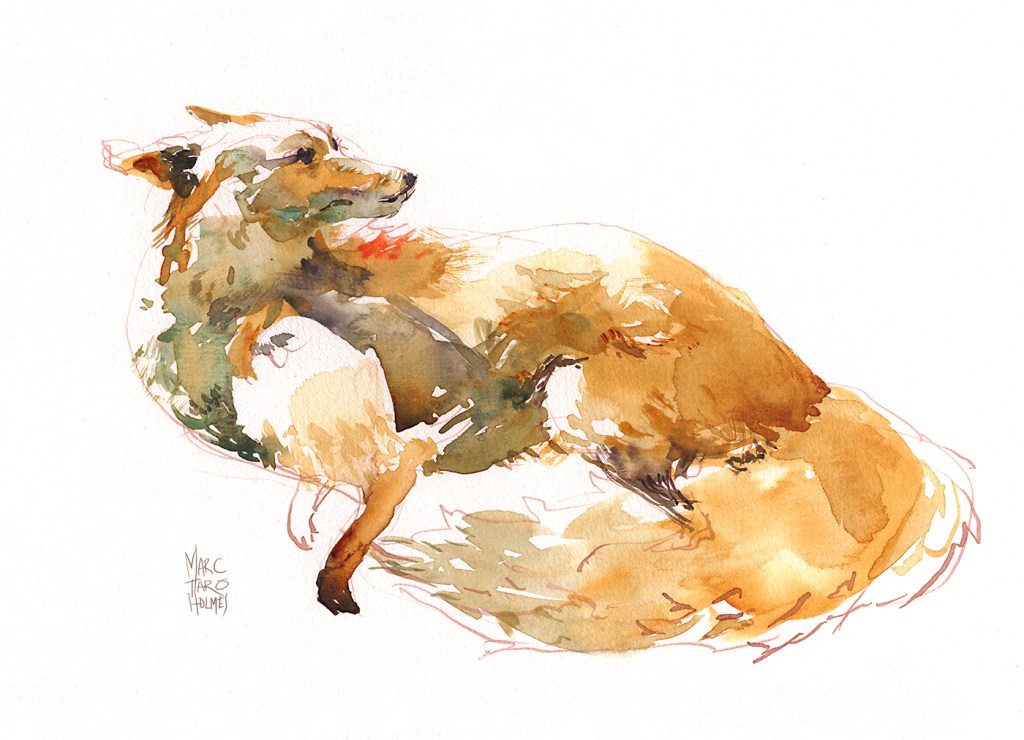 Sketchbook Drawing Tip: Soften your Linework with Diluted Ink | Citizen ...