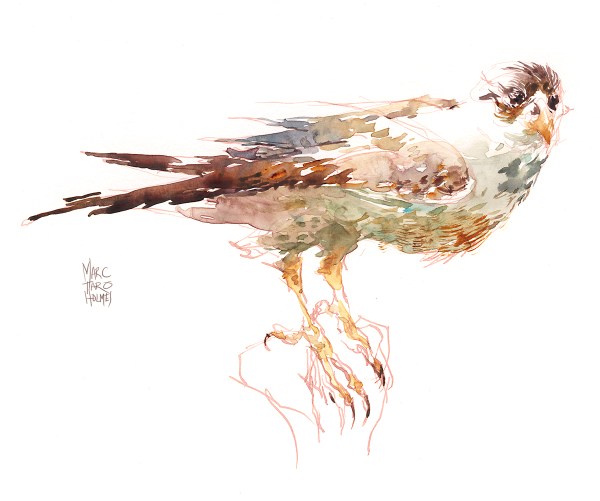 16Jan10_Dilute Ink (4)