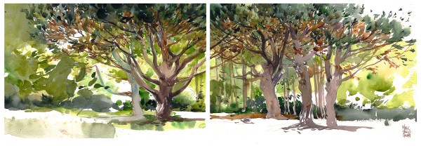 16June03_Botanical_Pines_Spread