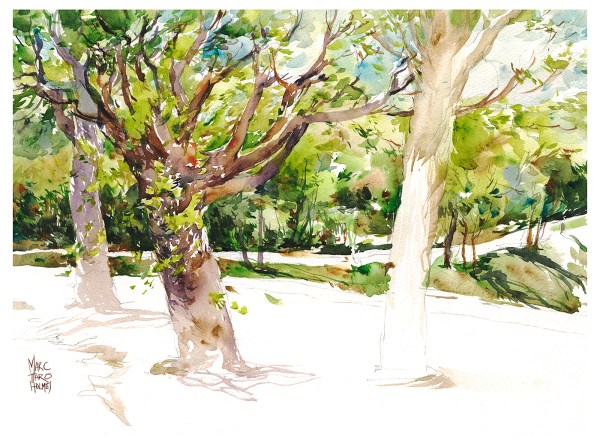 16June03_Mountain_01_Park