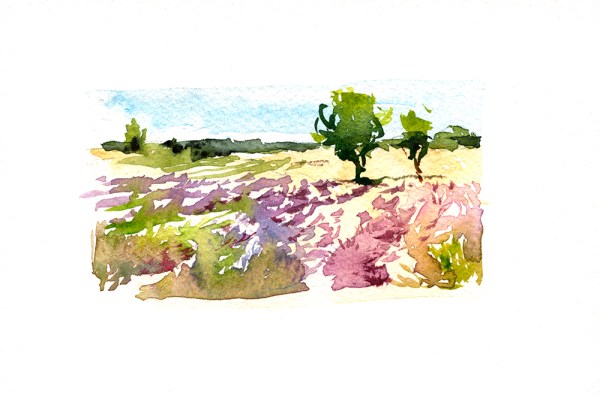 L'Occitane_Marc_paintings_006web