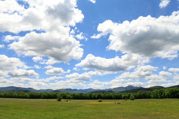 Publishers_Invitational_2016 (2)