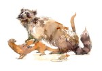 16dec15_marc-taro-holmes_-watercolor_taxidermy-raccoon
