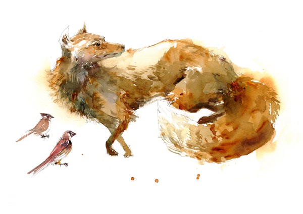 16dec15_marc-taro-holmes_watercolor_taxidermy-fox