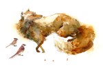 16dec15_marc-taro-holmes_watercolor_taxidermy-fox