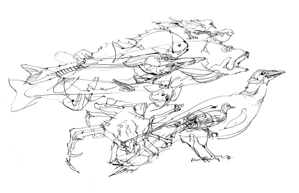 m-holmes_animal-collage_01x