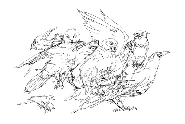 m-holmes_animal-collage_02x