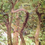 30x30_2018_The Heart of an Irishman is Nothing but His Imagination&nbsp;(2)