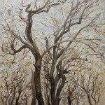 Winter’s Bones, These Dry Branches Carry a lot of Weight&nbsp;(1)