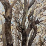 Winter’s Bones, These Dry Branches Carry a lot of Weight&nbsp;(4)