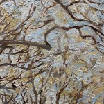 Winter’s Bones, These Dry Branches Carry a lot of Weight&nbsp;(7)